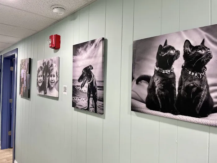 Havertown Animal Hospital Picture 10