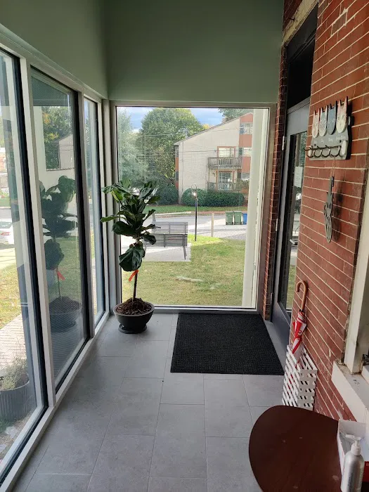 The Cat Hospital of Media Picture 6