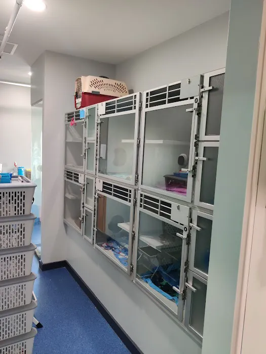 The Cat Hospital of Media Picture 5