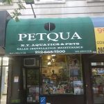Petqua