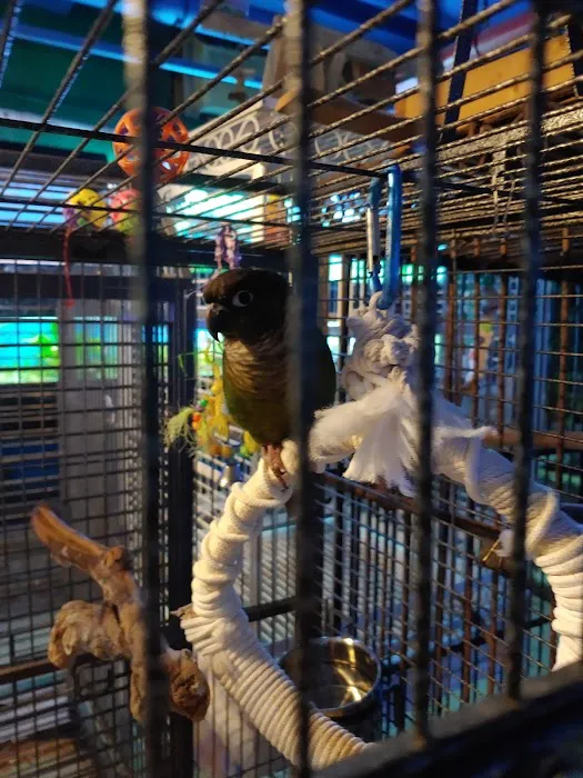 Petqua Picture 2