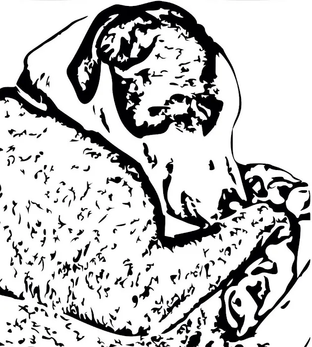 Main Line Veterinary Integrative Practice LLC Picture 8