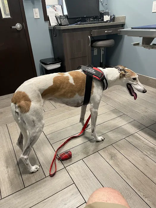 Dutton Road Veterinary Clinic Picture 9