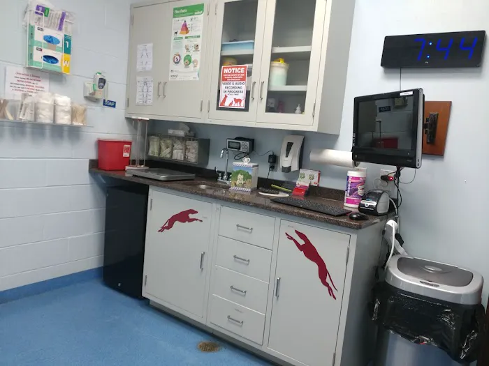 Dutton Road Veterinary Clinic Picture 8