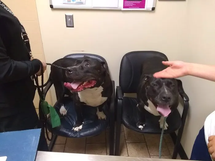 Dutton Road Veterinary Clinic Picture 7