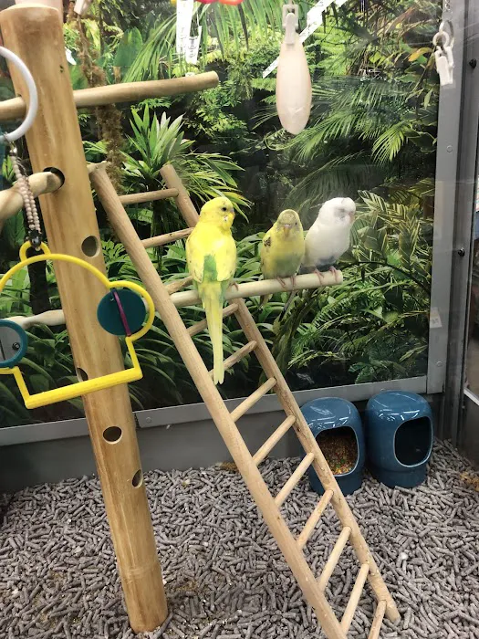 Petco Picture 1