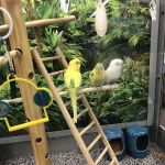 Petco
