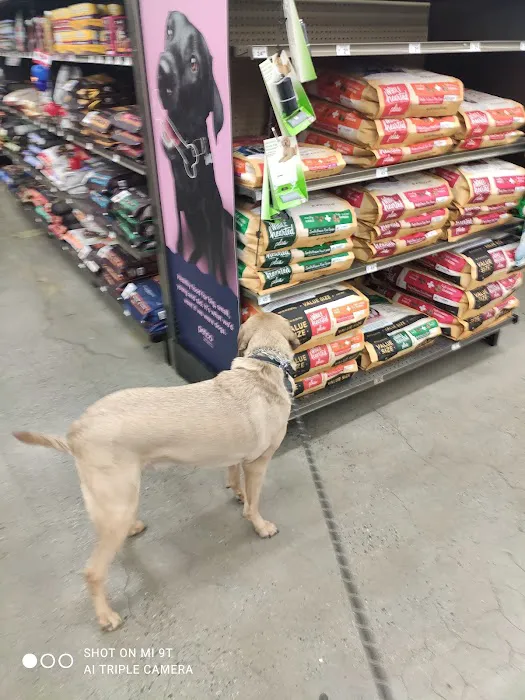 Petco Picture 9