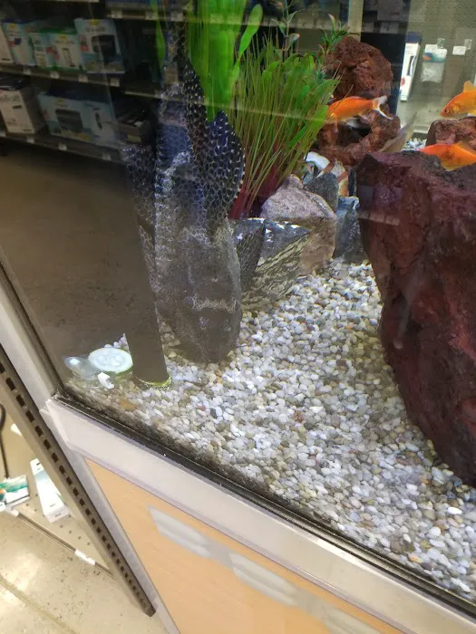 Petco Picture 6