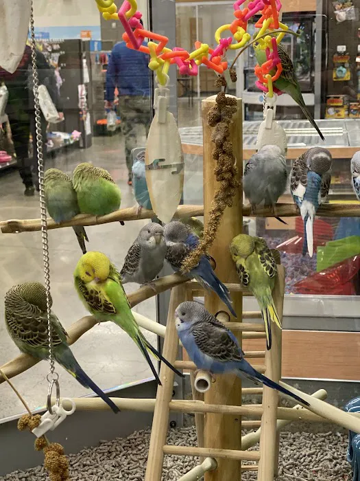 Petco Picture 8
