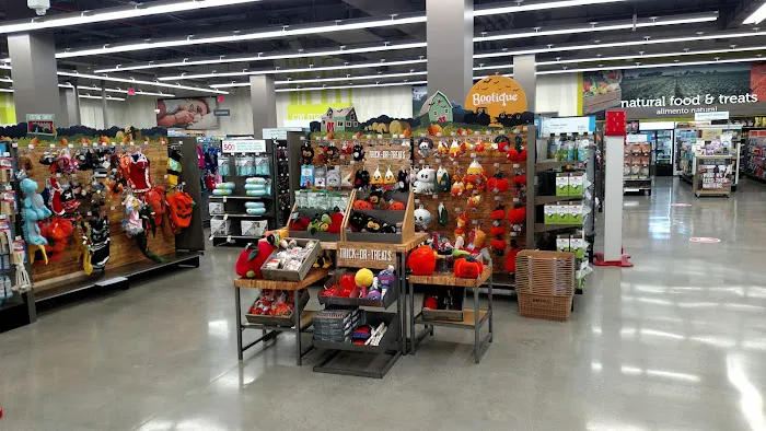 Petco Picture 4