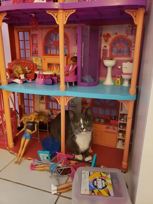 Petco Picture 7