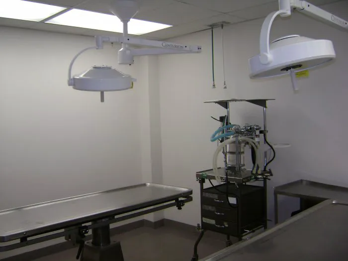 VCA Knightswood Animal Hospital Picture 10