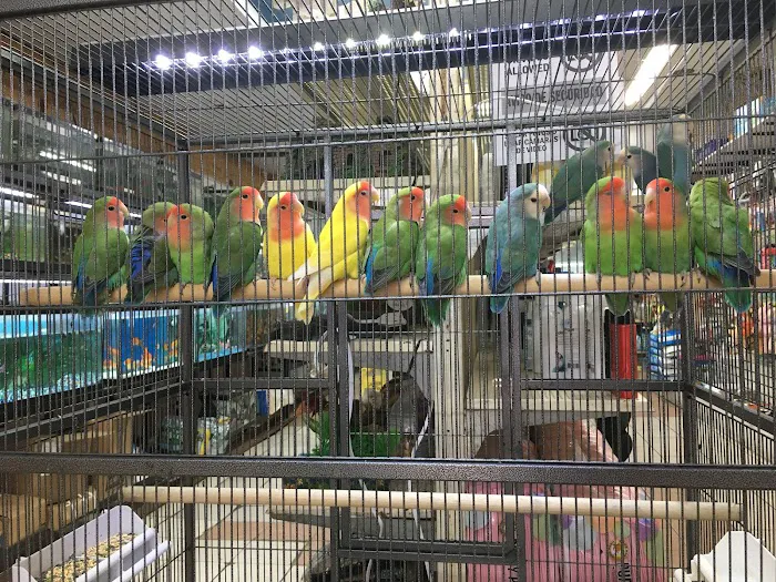 Tropical Pets Inc. Picture 9