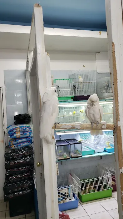 Tropical Pets Inc. Picture 1