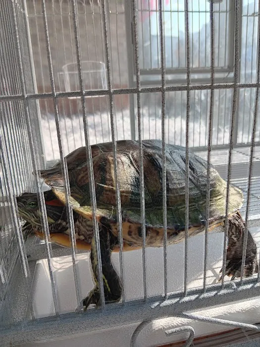Tropical Pets Inc. Picture 4