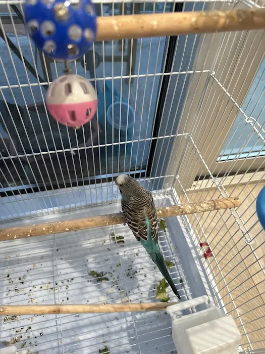 Tropical Pets Inc. Picture 3
