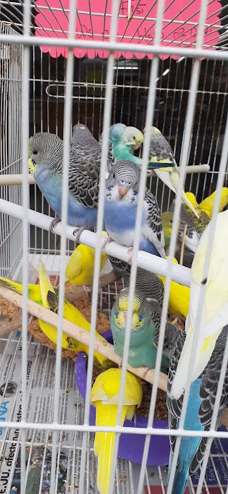 Tropical Pets Inc. Picture 2