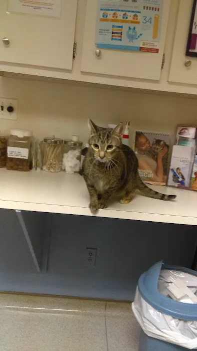 Cinnaminson Animal Hospital Picture 6