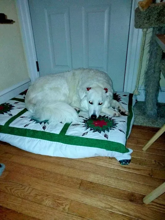 Cinnaminson Animal Hospital Picture 1