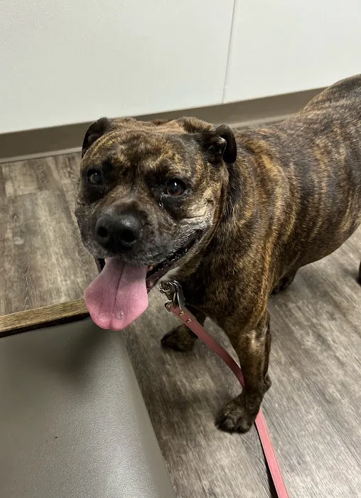 Cinnaminson Animal Hospital Picture 7