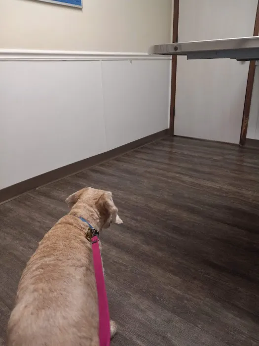 Cinnaminson Animal Hospital Picture 5
