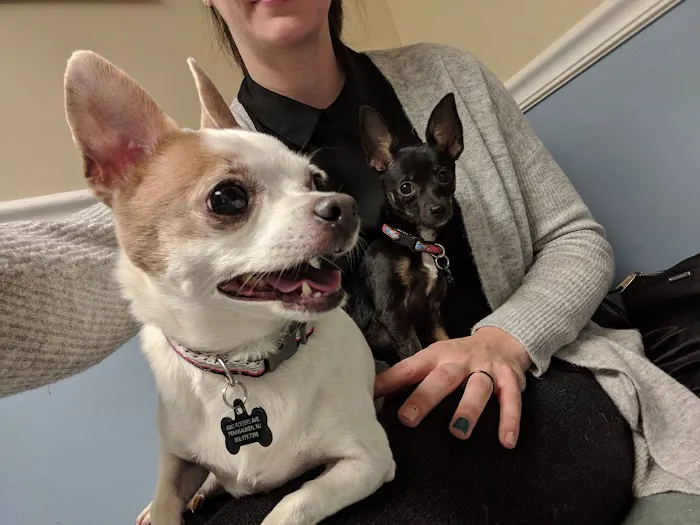 Cinnaminson Animal Hospital Picture 9