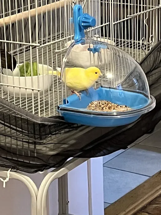 Royal Birds & Supplies Picture 6