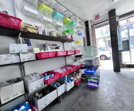 Royal Birds & Supplies