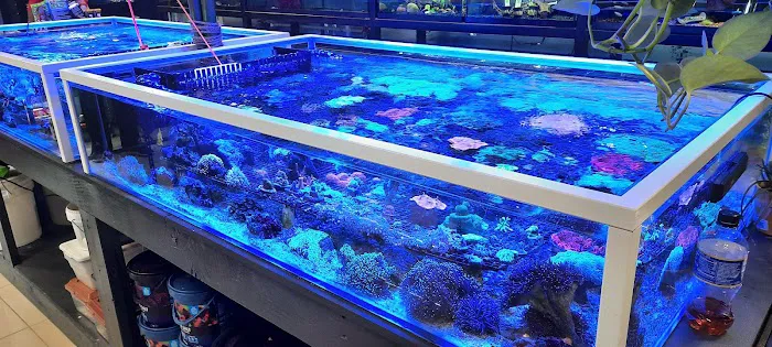 Nature's Reef & Reptile Picture 5