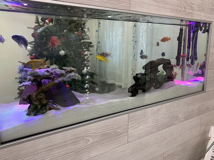 The iFISH Store Picture 9