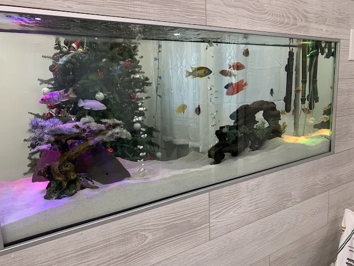 The iFISH Store Picture 10