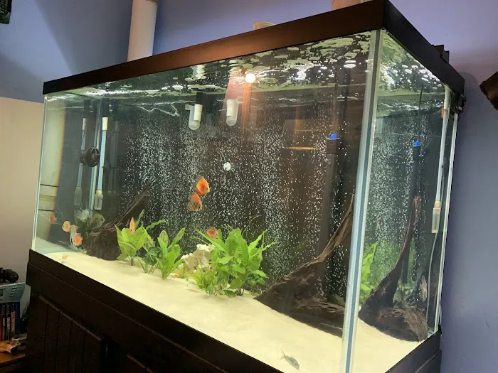 The iFISH Store Picture 7