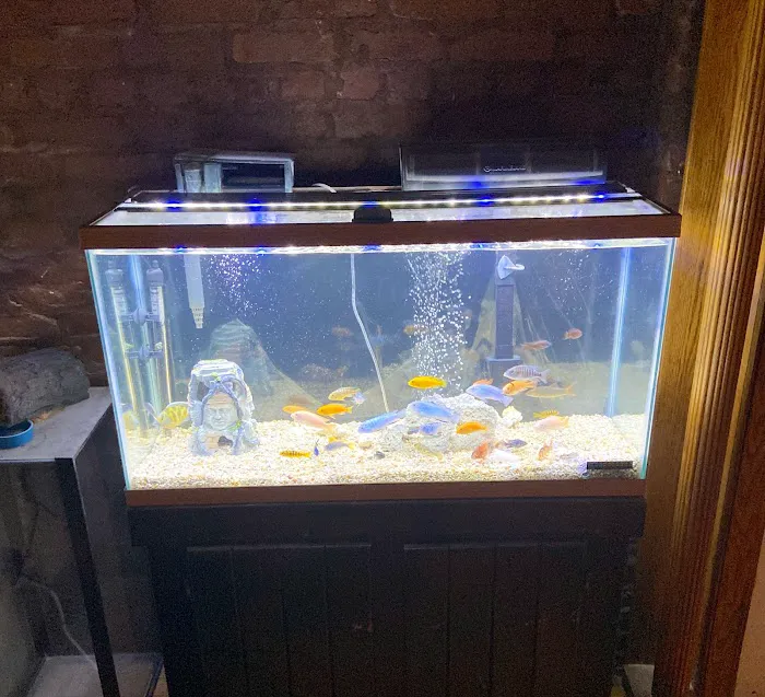 The iFISH Store Picture 3