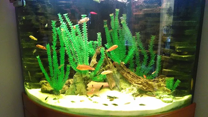 Tri-County Tropicals, Inc. Picture 3