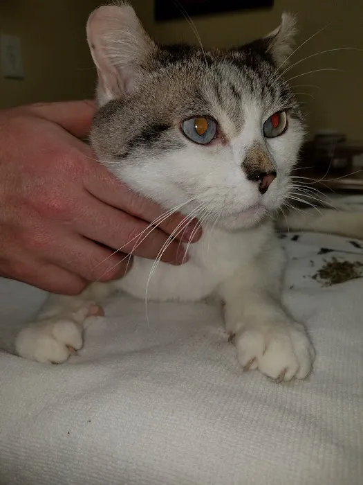 Bethayres Veterinary Hospital Picture 1