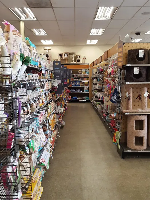 Petco Picture 6