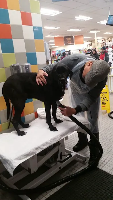 Petco Picture 1