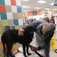 Petco ico