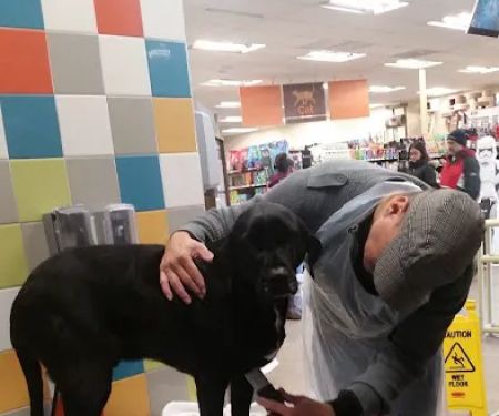 Petco