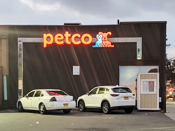 Petco Picture 2