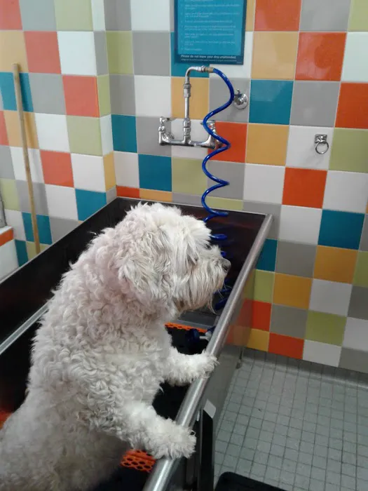 Petco Picture 5
