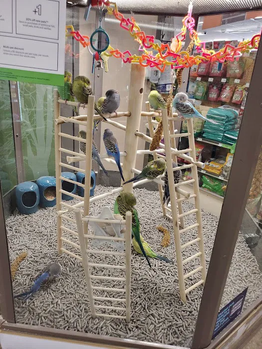 Petco Picture 4