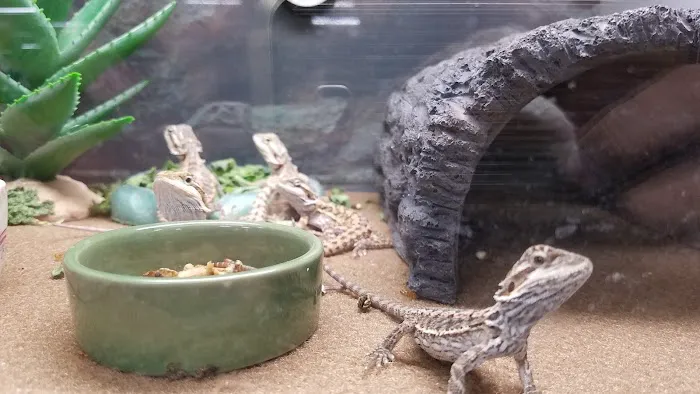 Petco Picture 7