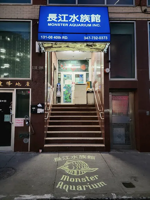 Monster Aquarium Inc - Shop in Queens New York Picture 2