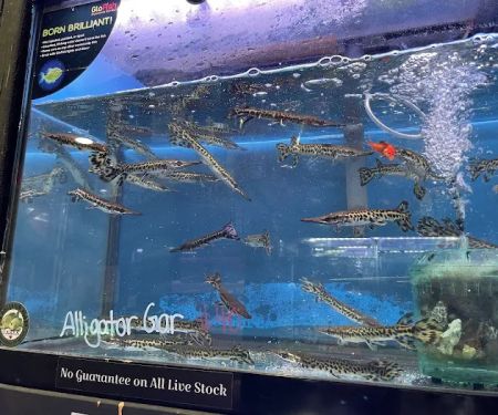Monster Aquarium Inc - Shop in Queens New York