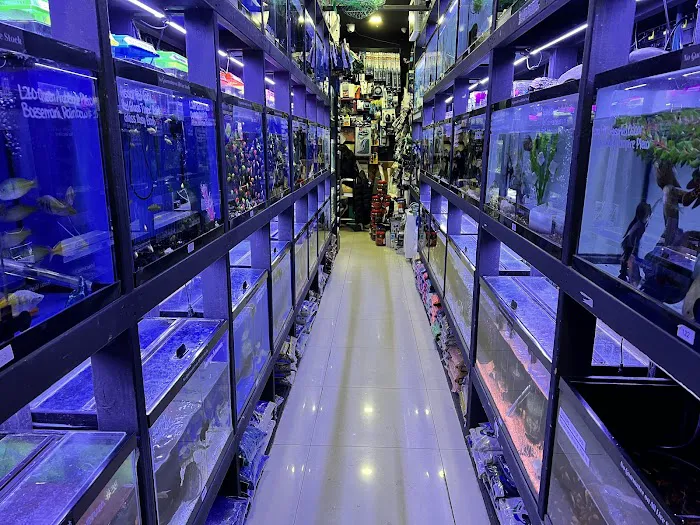 Monster Aquarium Inc - Shop in Queens New York Picture 3