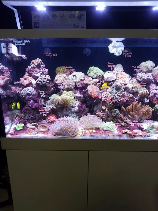 Monster Aquarium Inc - Shop in Queens New York Picture 5