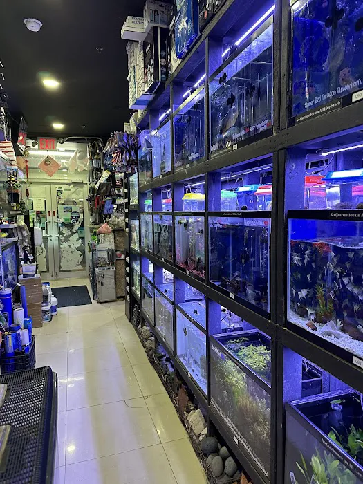 Monster Aquarium Inc - Shop in Queens New York Picture 6