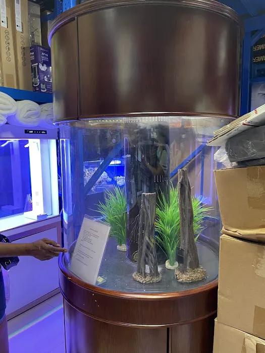 Monster Aquarium Inc - Shop in Queens New York Picture 9